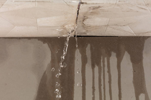 Professional Water Damage Inspection technician working in Dorchester, SC